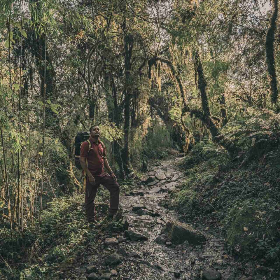 Mężczyzna z plecakiem trekkingowym w tropikalnym lesie deszczowym podczas wędrówki w Nepalu.