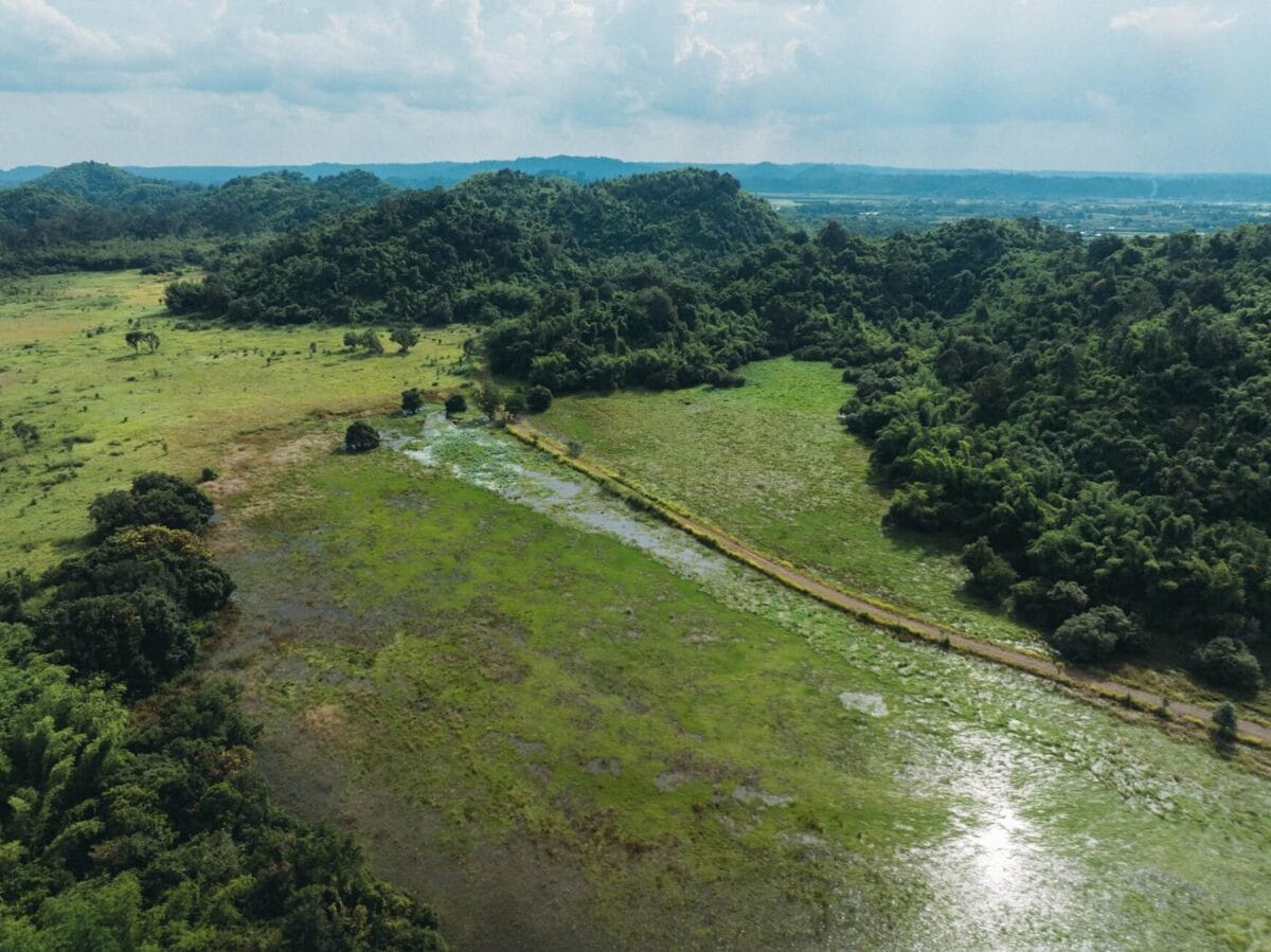 Widok z lotu ptaka na rozległy, zielony krajobraz z polami, zalesionymi wzgórzami i zbiornikiem wodnym, z jasnym niebem z chmurami nad Mũi Né, Wietnam.