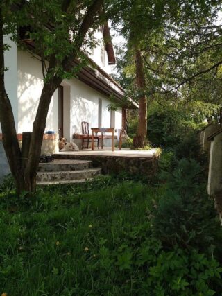 Taras agroturystyki Atma otoczony zielenią i drzewami.