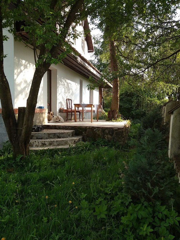 Taras agroturystyki Atma otoczony zielenią i drzewami.