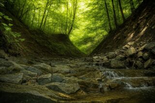 dzikie Bieszczady podczas wyprawy terenowej tylko dla mężczyzn