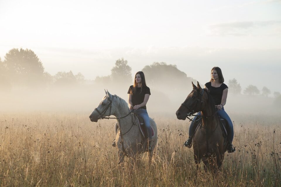 Bieszczadzka przygoda z końmi huculskimi