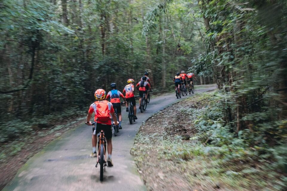 Grupa rowerzystów górskich w kaskach i jaskrawych koszulkach, jadących po wąskiej asfaltowej drodze przez gęsty las w Parku Narodowym Cát Tiên, Wietnam.