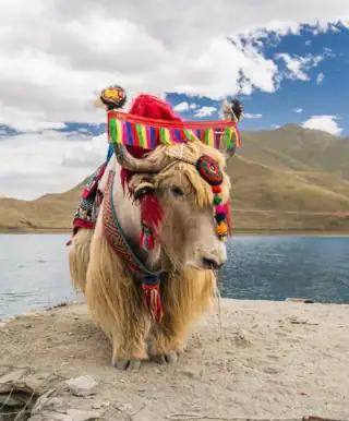 Ozdobiony kolorowym strojem jak tybetański nad jeziorem Yamdrok – wyprawa do Tybetu
