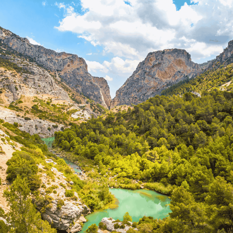 Panoramiczny widok wąwozu El Chorro – rzeka w dole, gęsty las piniowy i monumentalne formacje skalne tworzące wąskie przełomy, pod niebem z chmurami.