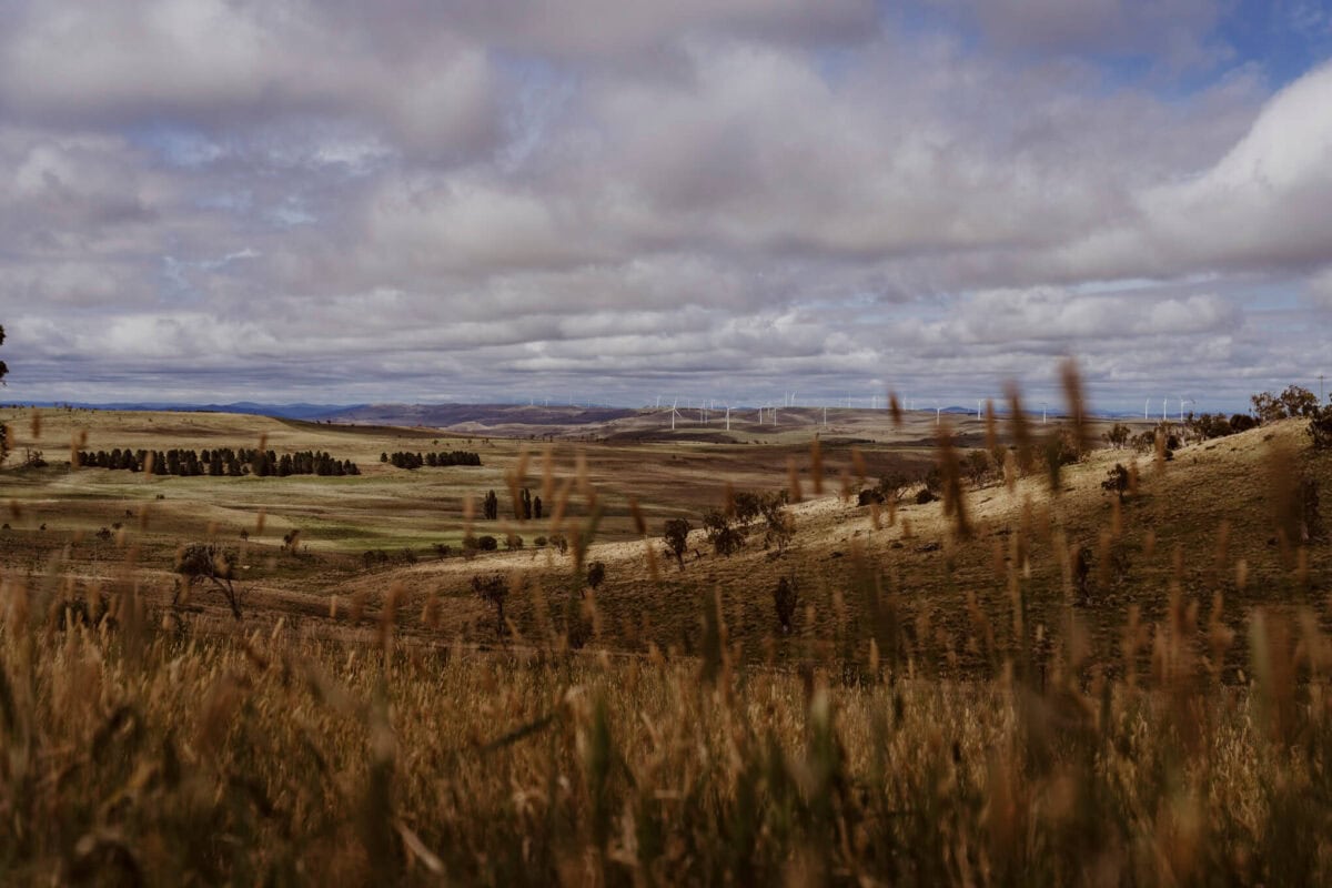 australijska farma Kallarroo