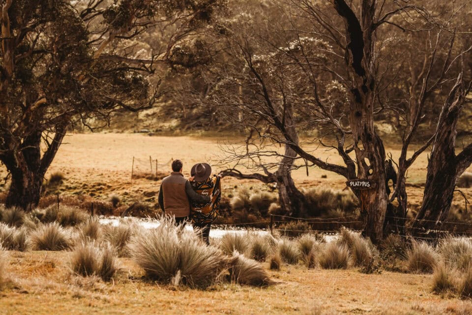 australijska farma Kallarroo