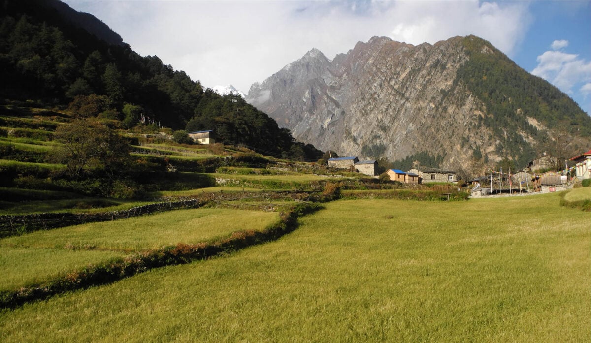 Tarasowe pola uprawne w himalajskiej wiosce w Nepalu – zielona dolina u podnóża gór w regionie Manaslu