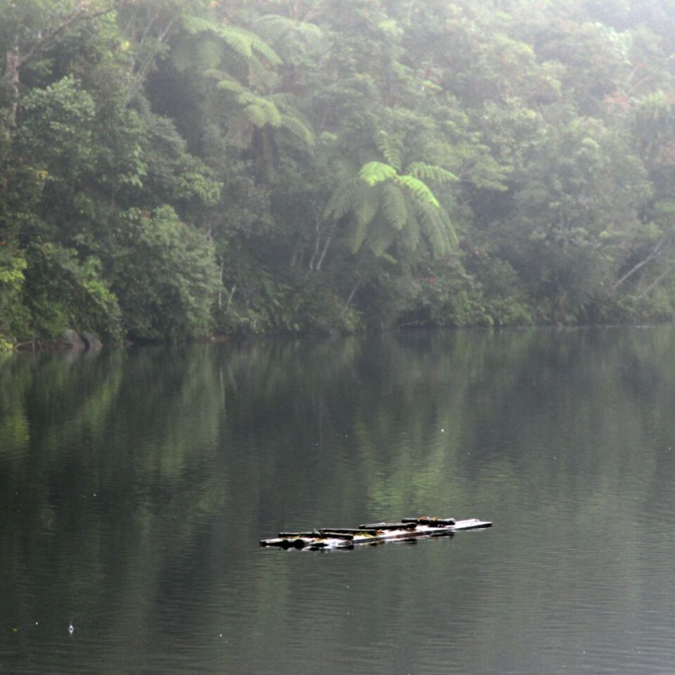 Jezioro Ranamese na Flores w Indonezji – ukryta perła w tropikalnym lesie