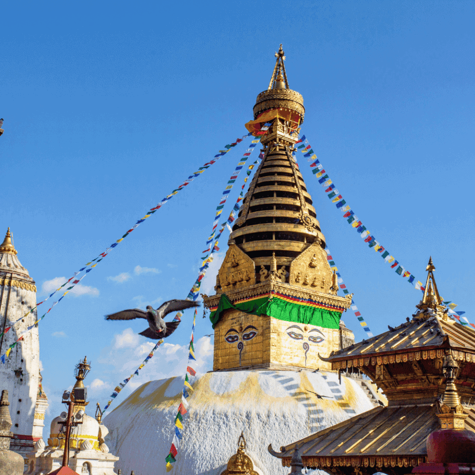 Fragment Złotej Stupy Swayambhunath (Małpiej Świątyni) w Katmandu, Nepal, z widocznymi charakterystycznymi oczami Buddy i powiewającymi kolorowymi flagami modlitewnymi. W kadrze widać przelatującego gołębia.