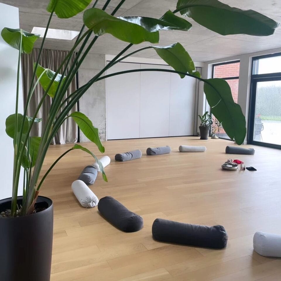 Krąg kobiet podczas zajęć mindfulness i jogi w siedlisku Nad Rogalami na Mazurach Garbatych.