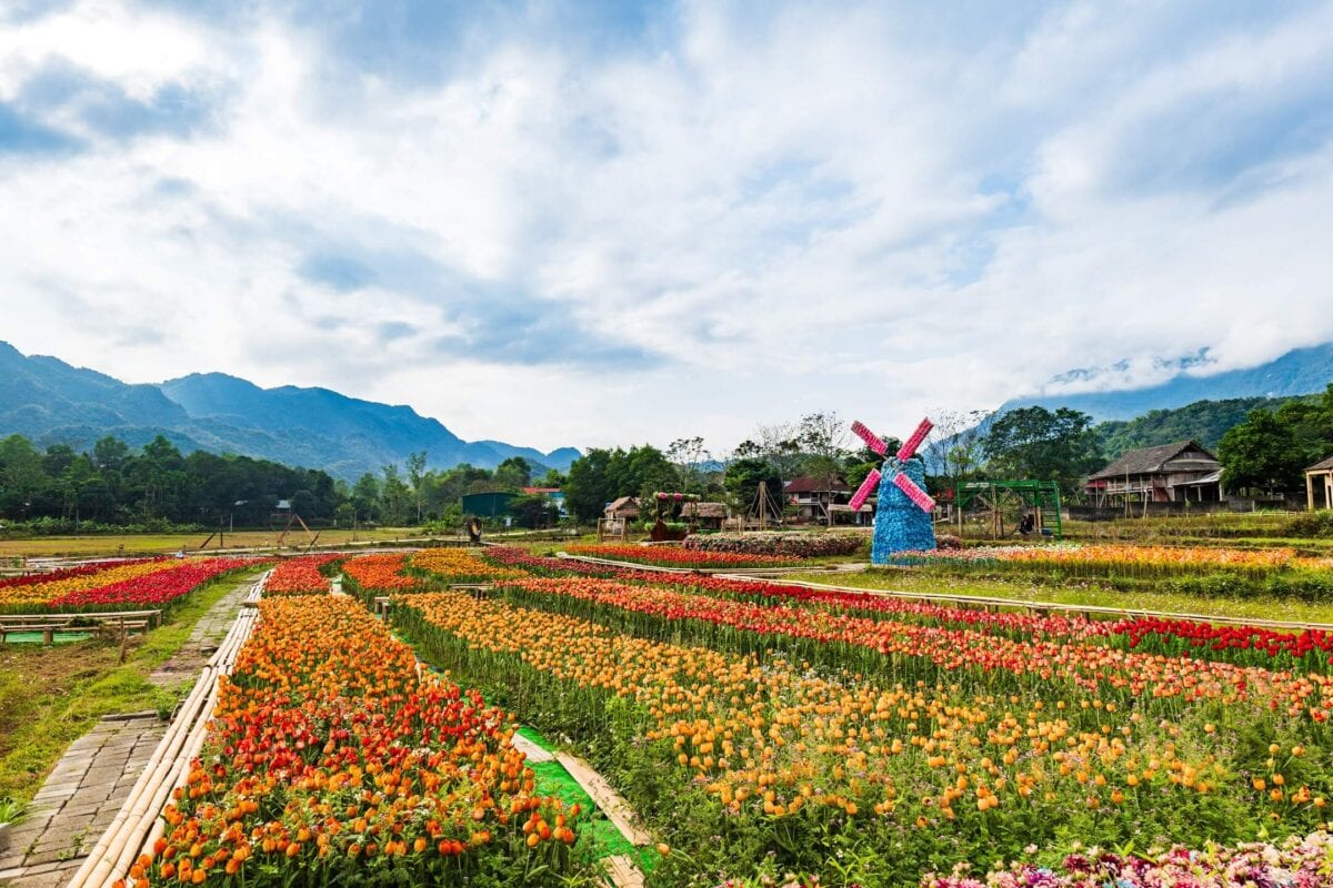 Krajobraz doliny Mai Chau w północnym Wietnamie – pola ryżowe, góry i tradycyjna wiejska zabudowa.