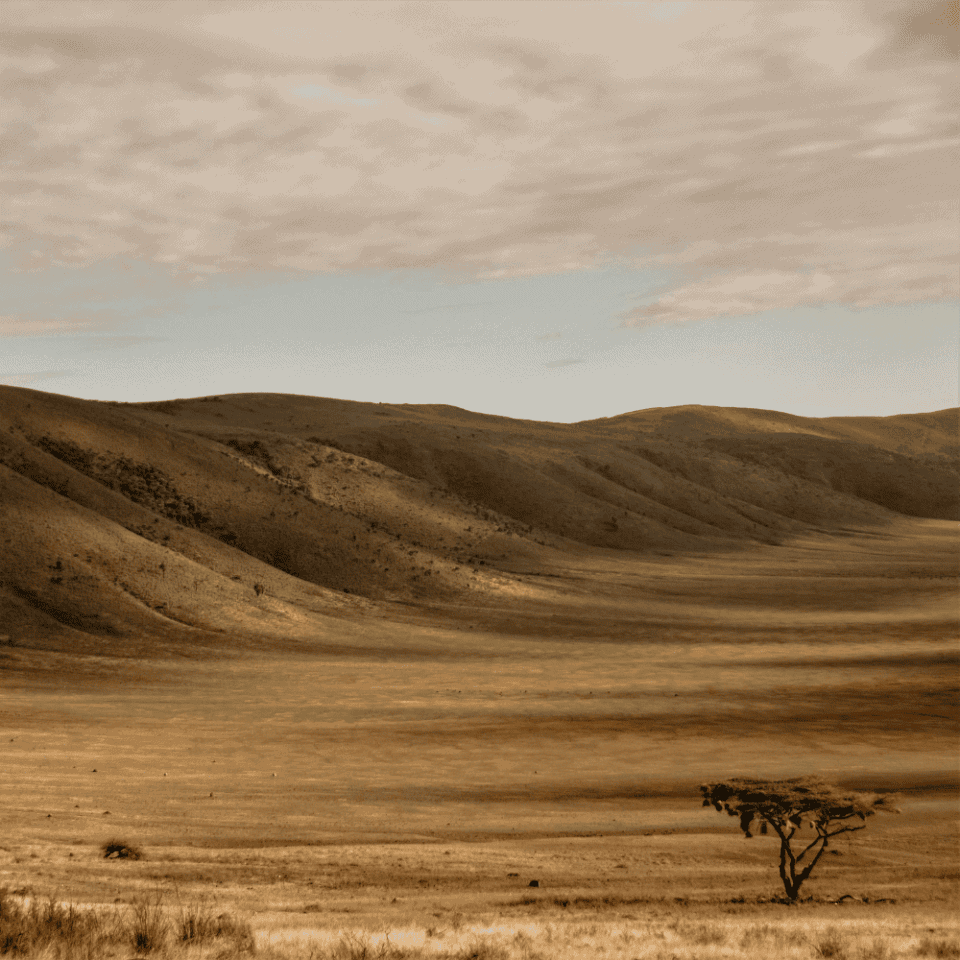 Krater Ngorongoro w Tanzanii – rozległa sawanna otoczona łagodnymi wzgórzami pod zachmurzonym niebem, jedno z miejsc podczas wyprawy trekkingowej na Kilimandżaro.
