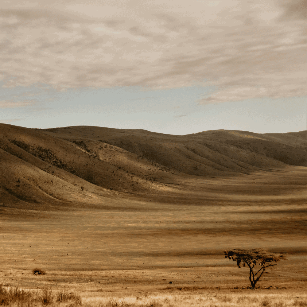 Krater Ngorongoro w Tanzanii – rozległa sawanna otoczona łagodnymi wzgórzami pod zachmurzonym niebem, jedno z miejsc podczas wyprawy trekkingowej na Kilimandżaro.