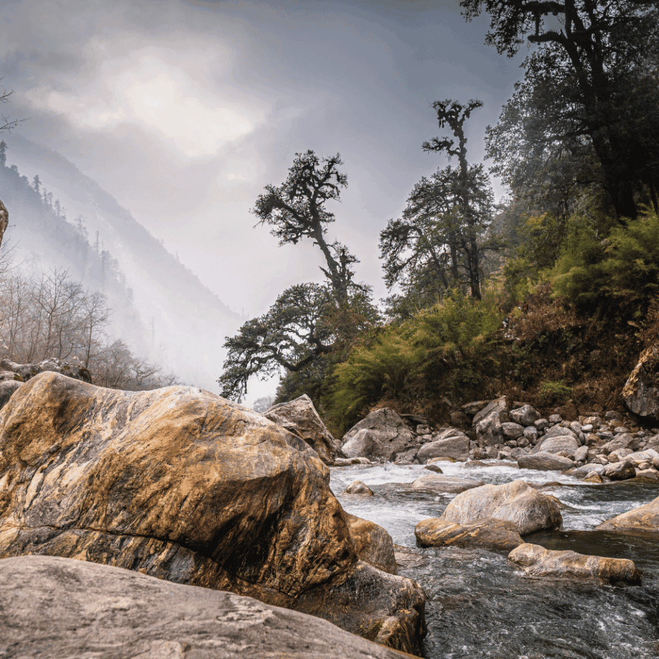 Skalista górska rzeka Langtang Khola przepływająca przez mglisty las w Parku Narodowym Langtang w Nepalu, widok podczas trekkingu.