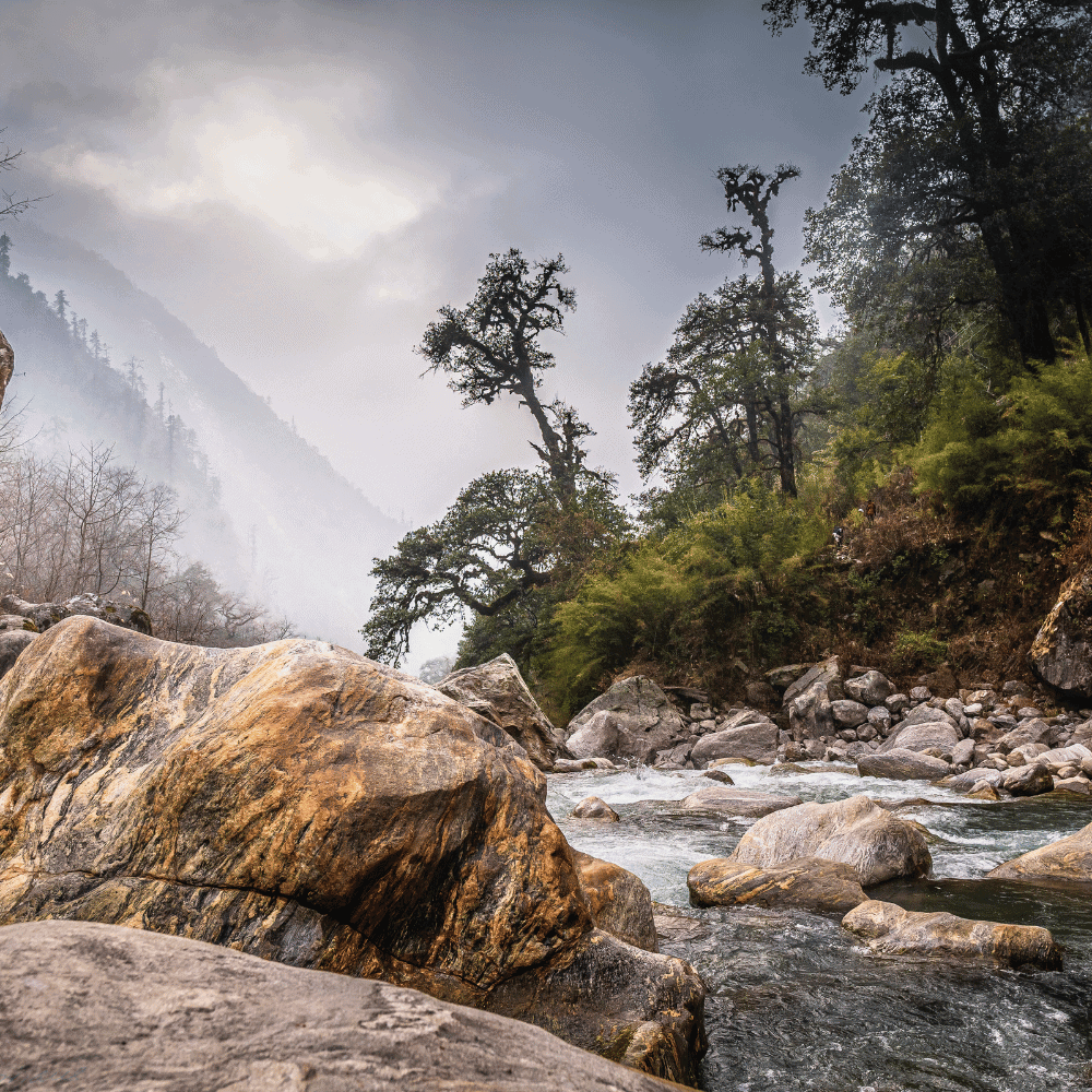 Skalista górska rzeka Langtang Khola przepływająca przez mglisty las w Parku Narodowym Langtang w Nepalu, widok podczas trekkingu.