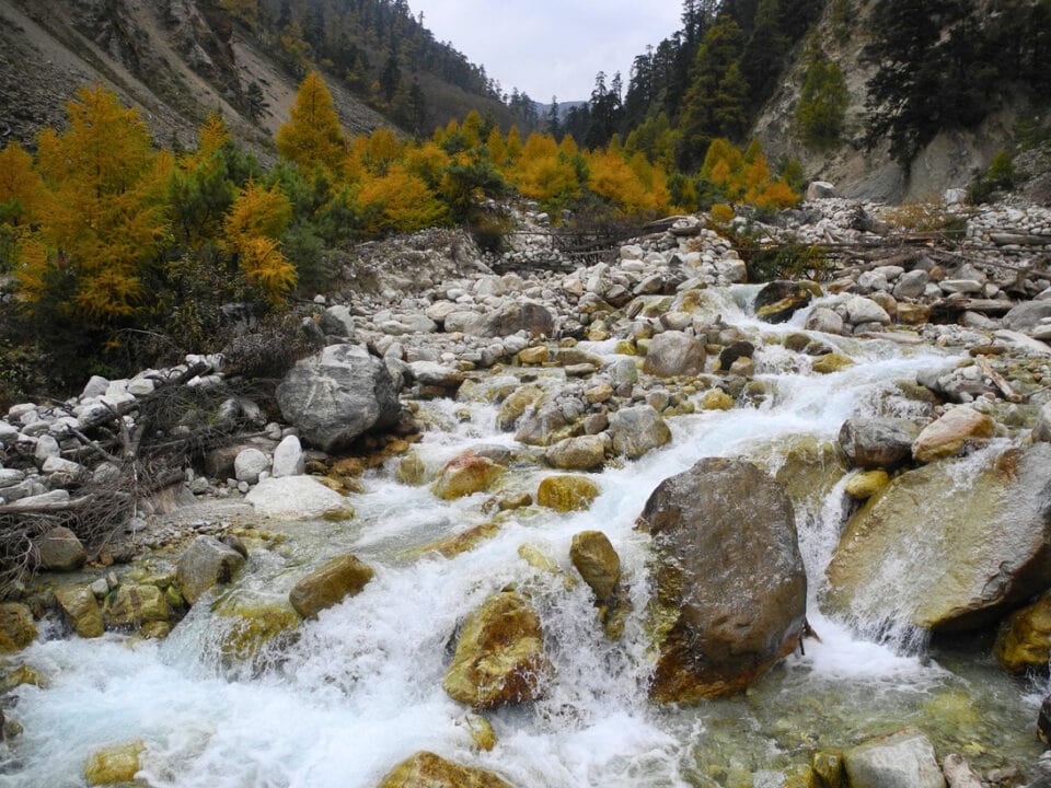 Rzeka w dolinie regionu Manaslu w Nepalu – jesienny krajobraz Himalajów z rwącą rzeką i złotymi modrzewiami