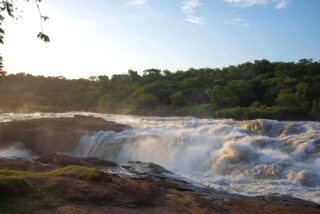 Szerokie kaskady spienionej wody na skalistym progu rzeki Nil w parku narodowym w Ugandzie.