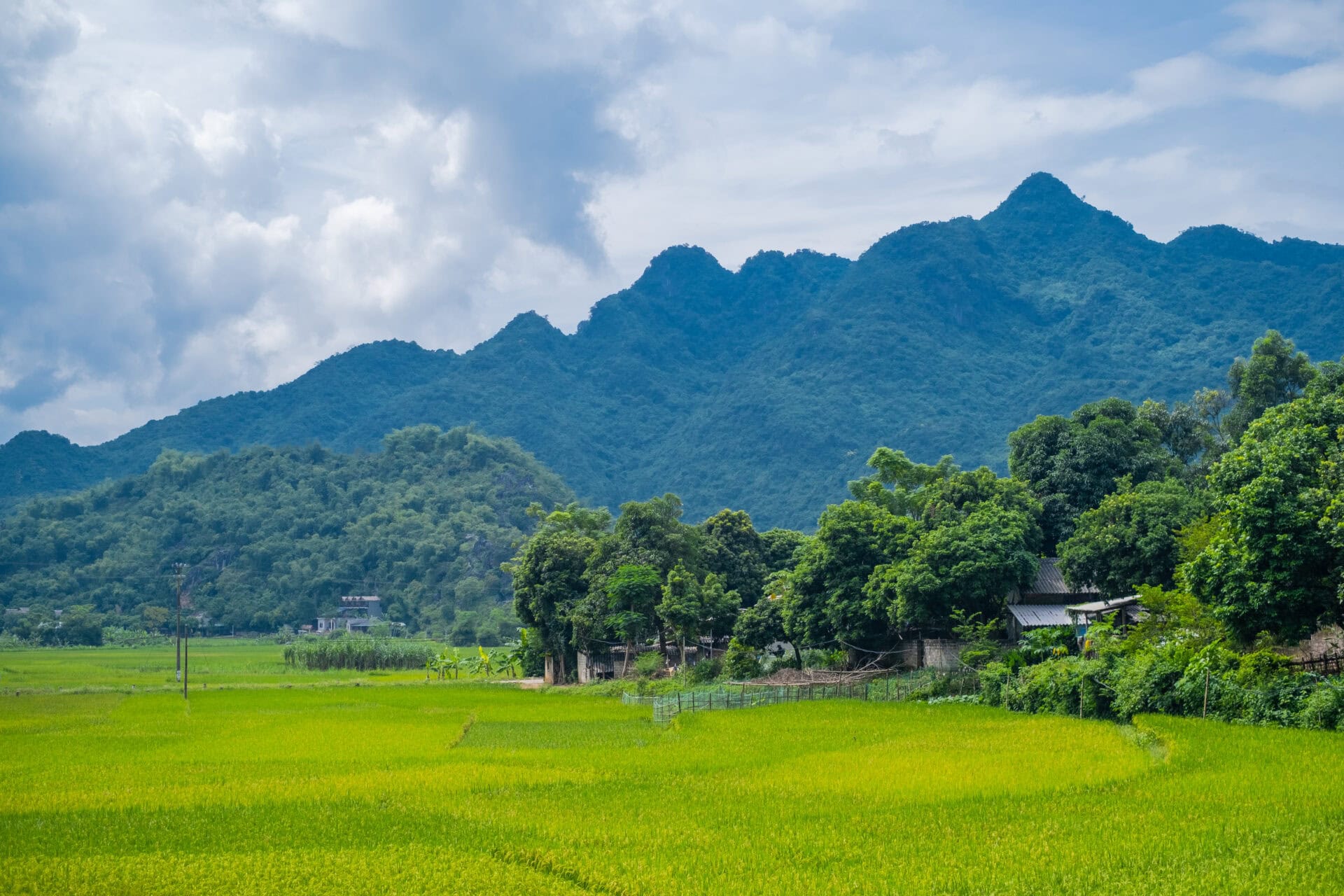 Piękny krajobraz pola ryżowego w Mai Chau Hoa Binh w Wietnamie.