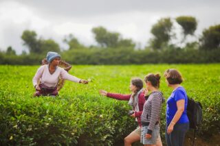 Plantacja na Madagaskarze – spotkanie z lokalną społecznością podczas pracy