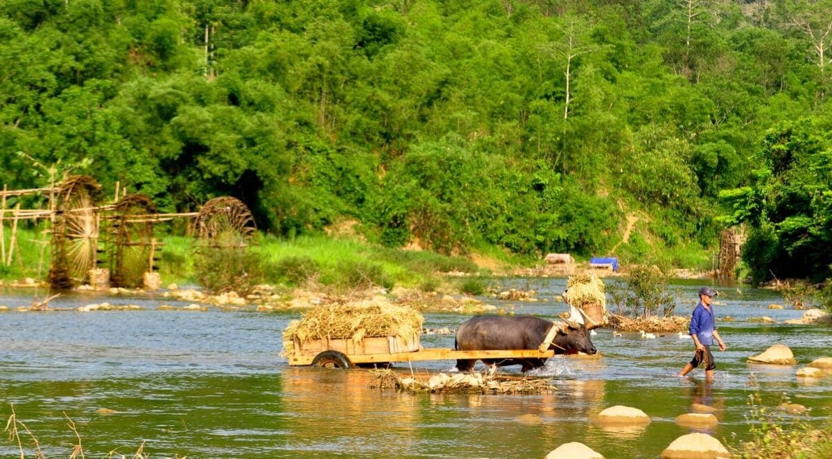 Tradycyjny młyn wodny w Pu Luong na rzece otoczonej zielenią – krajobraz północnego Wietnamu.
