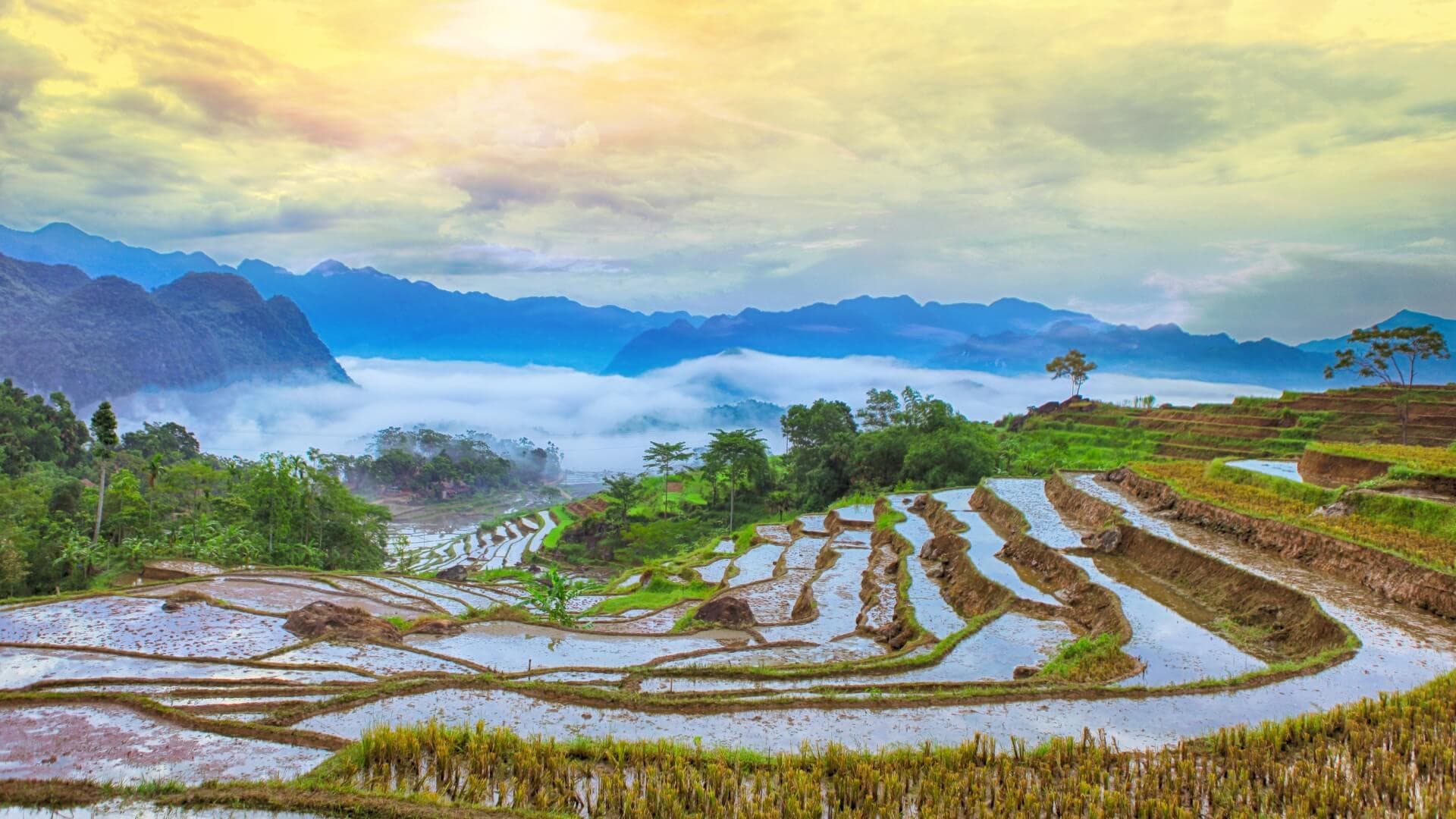 Tarasy ryżowe Pu Luong o świcie, otulone mgłą i otoczone górami północnego Wietnamu.