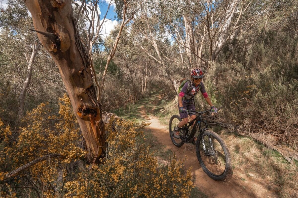 jazda na rowerze w Australii