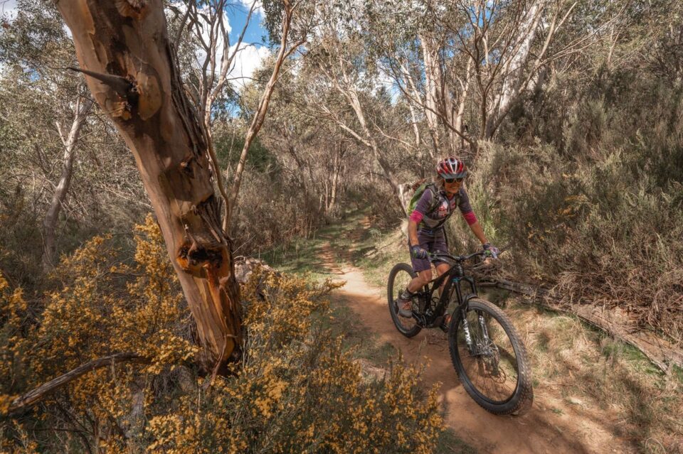 jazda na rowerze w Australii