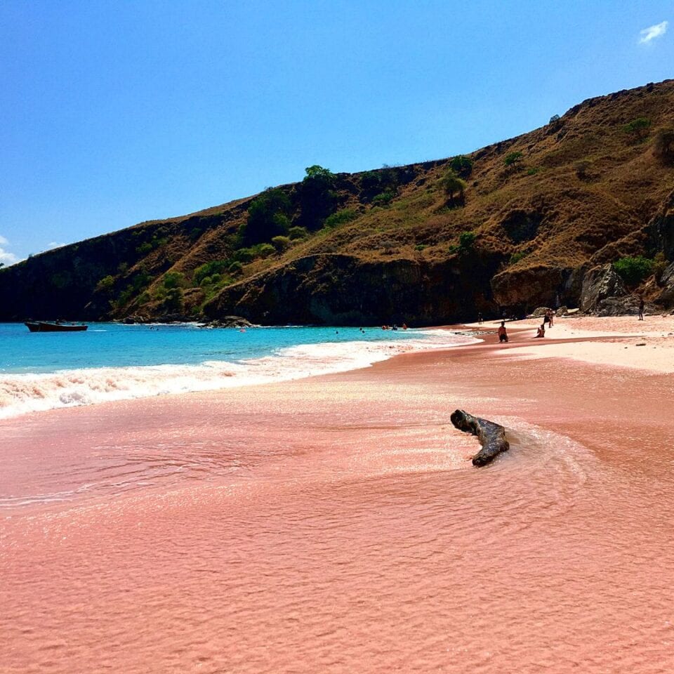 Różowa Plaża Pantai Merah na wyspie Komodo, Flores, Indonezja