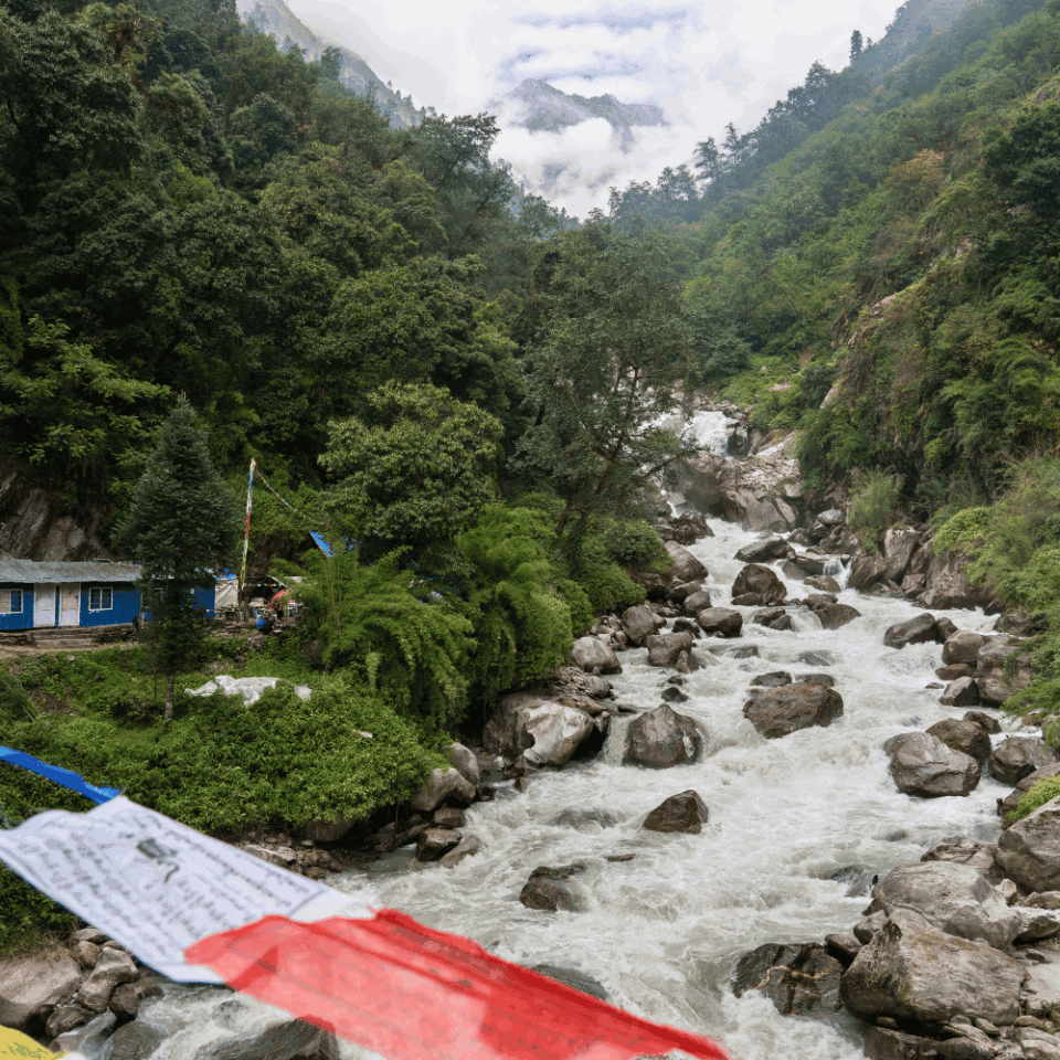 Bystra górska rzeka przepływająca przez Dolinę Langtang w Nepalu, otoczona zielonym lasem i niewielkimi domostwami.