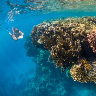 Snorkeling w Parku Narodowym 17 Wysp Koralowych, Flores, Indonezja