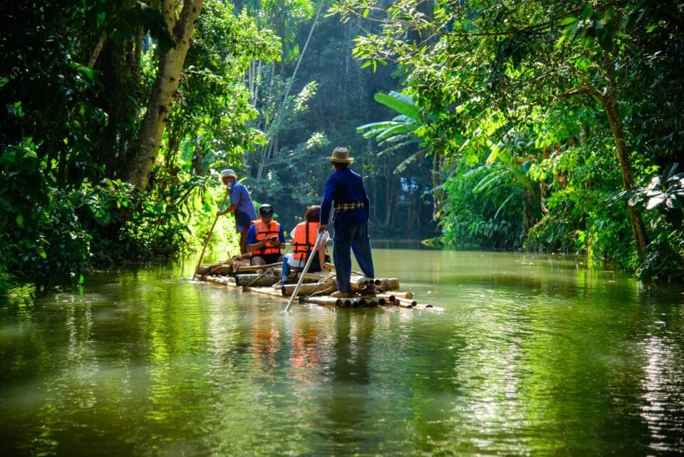 Spływ bambusową tratwą w zielonej, tropikalnej scenerii w okolicach Mae Wang koło Chiang Mai.