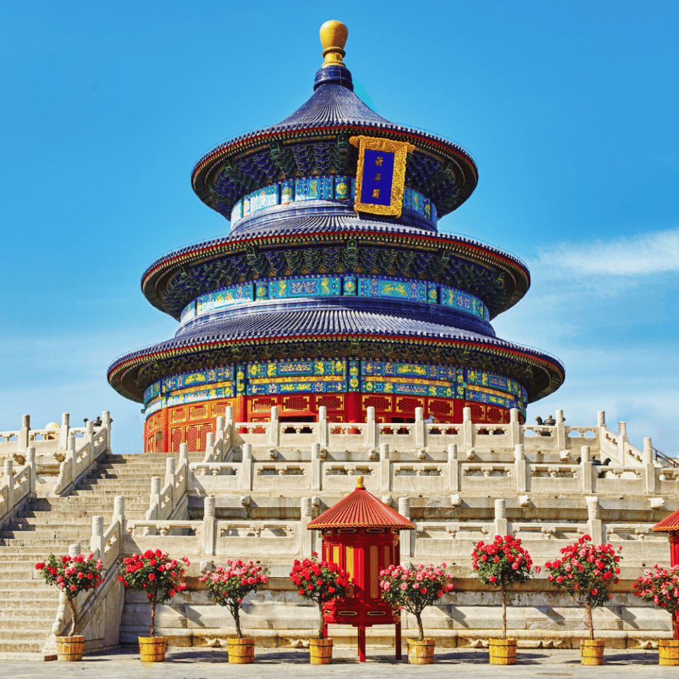 Kolorowy widok na Świątynię Nieba w Pekinie – intensywnie niebieski dach i żywe barwy czerwieni i złota zdobiące strukturę, przed którą stoją donice z kwitnącymi różowymi kwiatami, pod błękitnym niebem.