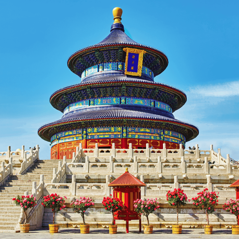 Kolorowy widok na Świątynię Nieba w Pekinie – intensywnie niebieski dach i żywe barwy czerwieni i złota zdobiące strukturę, przed którą stoją donice z kwitnącymi różowymi kwiatami, pod błękitnym niebem.