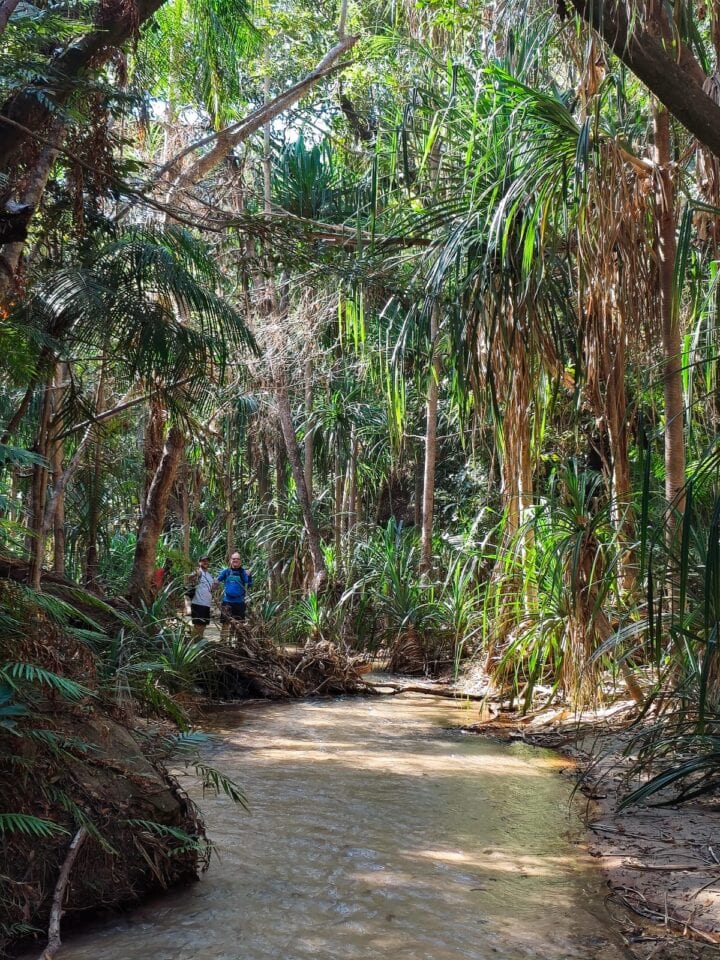 Trekking przez tropikalny las w masywie Makay – Madagaskar