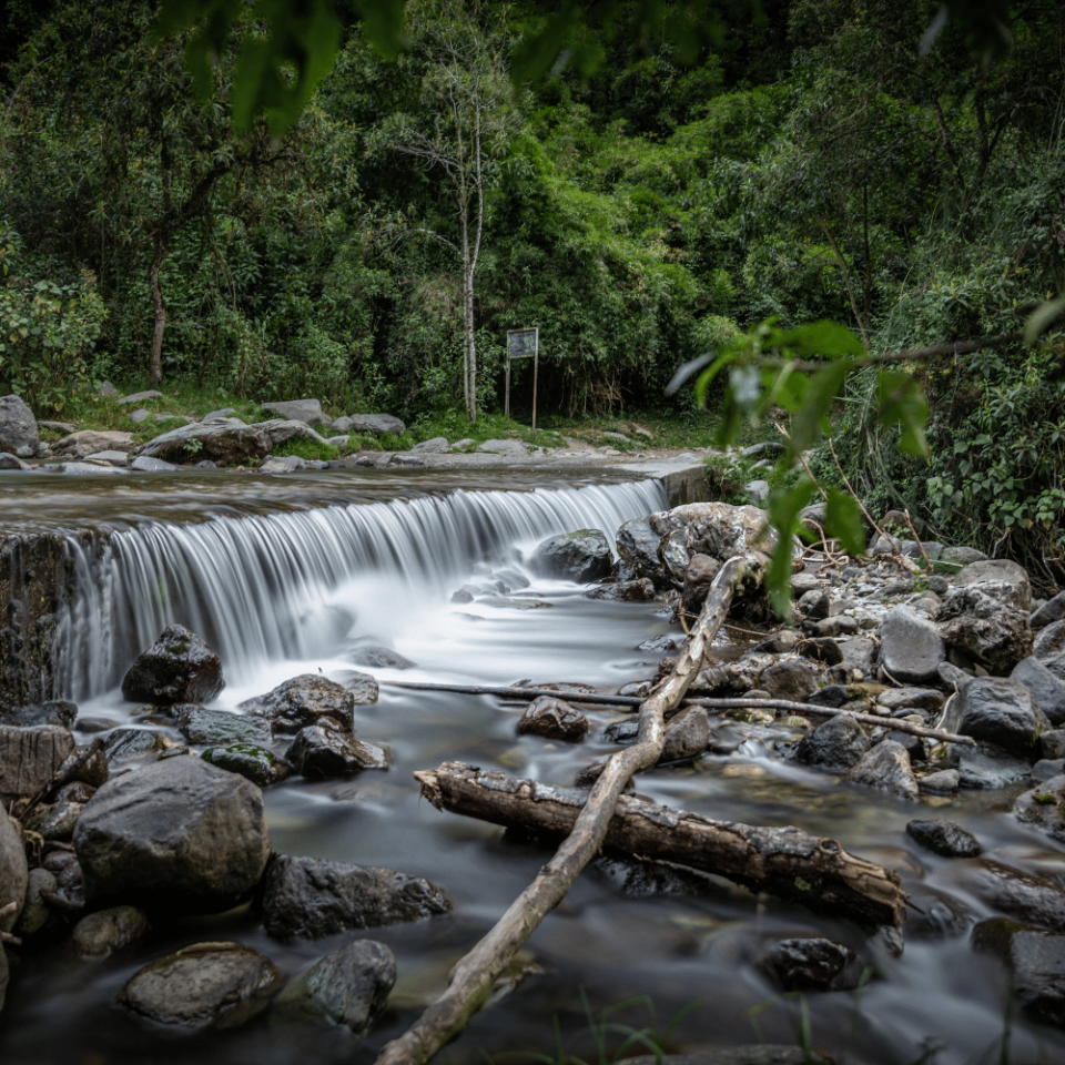 Niewielki wodospad spływający spokojnym strumieniem przez kamienie wśród bujnej zieleni w Dolinie Cocora w Kolumbii.