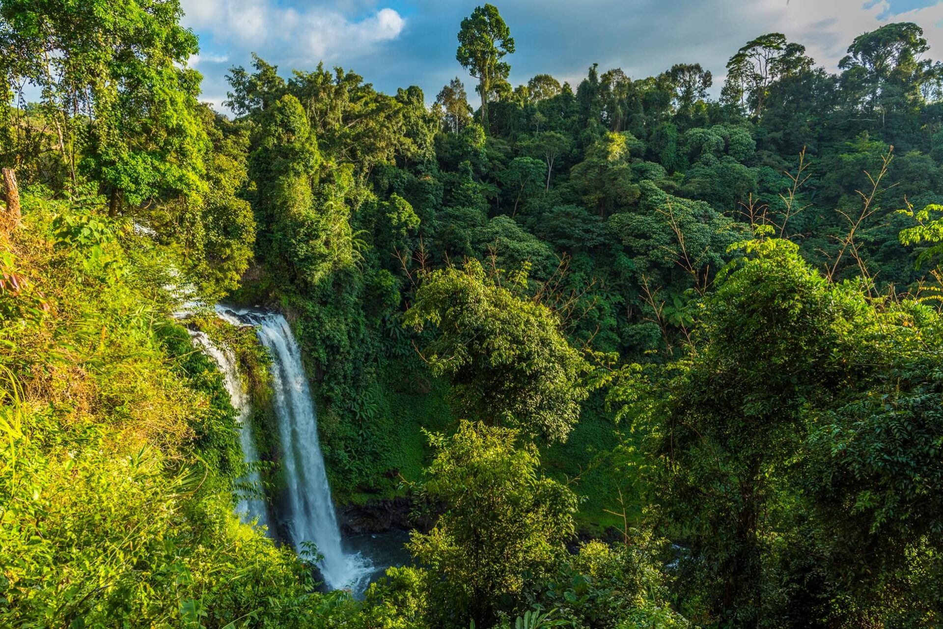 Wodospad Tad Fane na płaskowyżu Bolaven w Laosie – wysokie, podwójne kaskady spływające z zielonego klifu do doliny porośniętej tropikalną roślinnością.